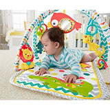 Fisher-Price 3-in-1 Musical Activity Gym