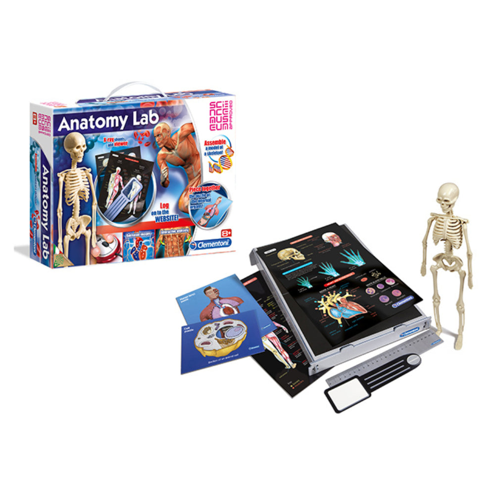 Science Game Anatomy Lab  Image#1