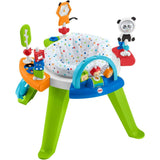 Fisher Price BG 3 in 1 SpinSort Activity Centre