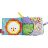 Fisher Price  1-to-5 Activity Book