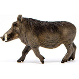 Schleich Warthog