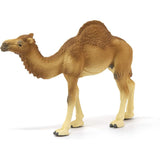 Schleich - Dromedary