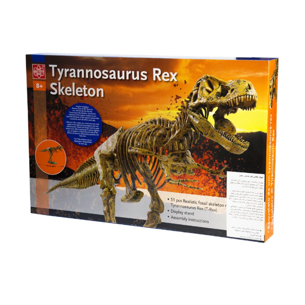 Edu Toys Dinosaur T Rex Skeleton