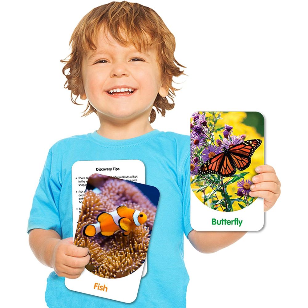 The Learning Journey Discovery Cards - Out & About