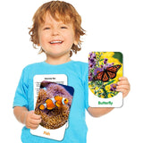 The Learning Journey Discovery Cards - Out & About