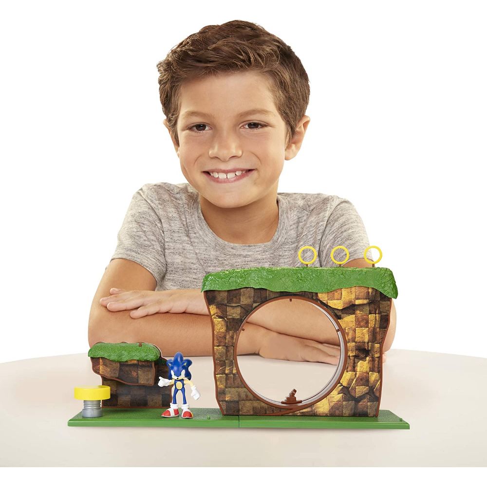 Sonic Green Hill Zone Playset