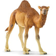 Schleich - Dromedary