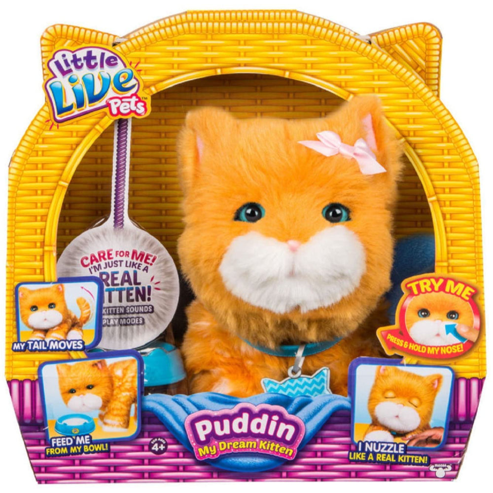 Little Live Pets Puddin My Dream Kitten Toys4me