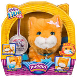 Little Live Pets Puddin My Dream Kitten  Image#1