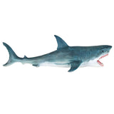 National Geographic Great White Shark