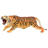 National Geographic Beal Tiger