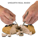 National Geographic Real Bug Dig Kit