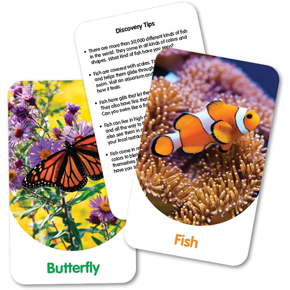 The Learning Journey Discovery Cards - Out & About