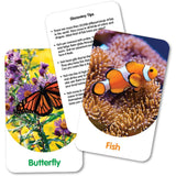 The Learning Journey Discovery Cards - Out & About