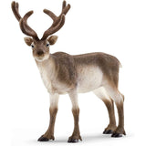 Schleich - Reindeer