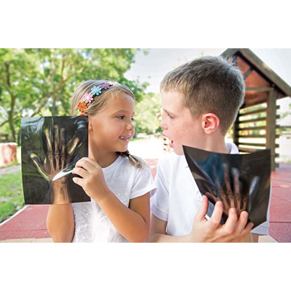 4M Glow Human Skeleton Science Kit