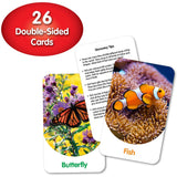 The Learning Journey Discovery Cards - Out & About
