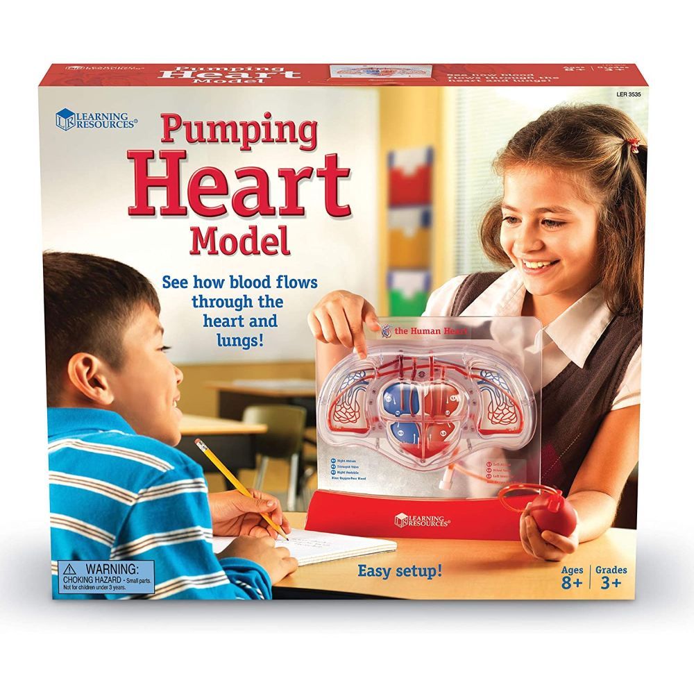 Learning Resources Pumping Heart Model, Teaching aid, Classroom Multi-Sensory Demonstration Set Learning Resources Pumping Heart Model, Teaching aid, Classroom Multi-Sensory Demonstration Set