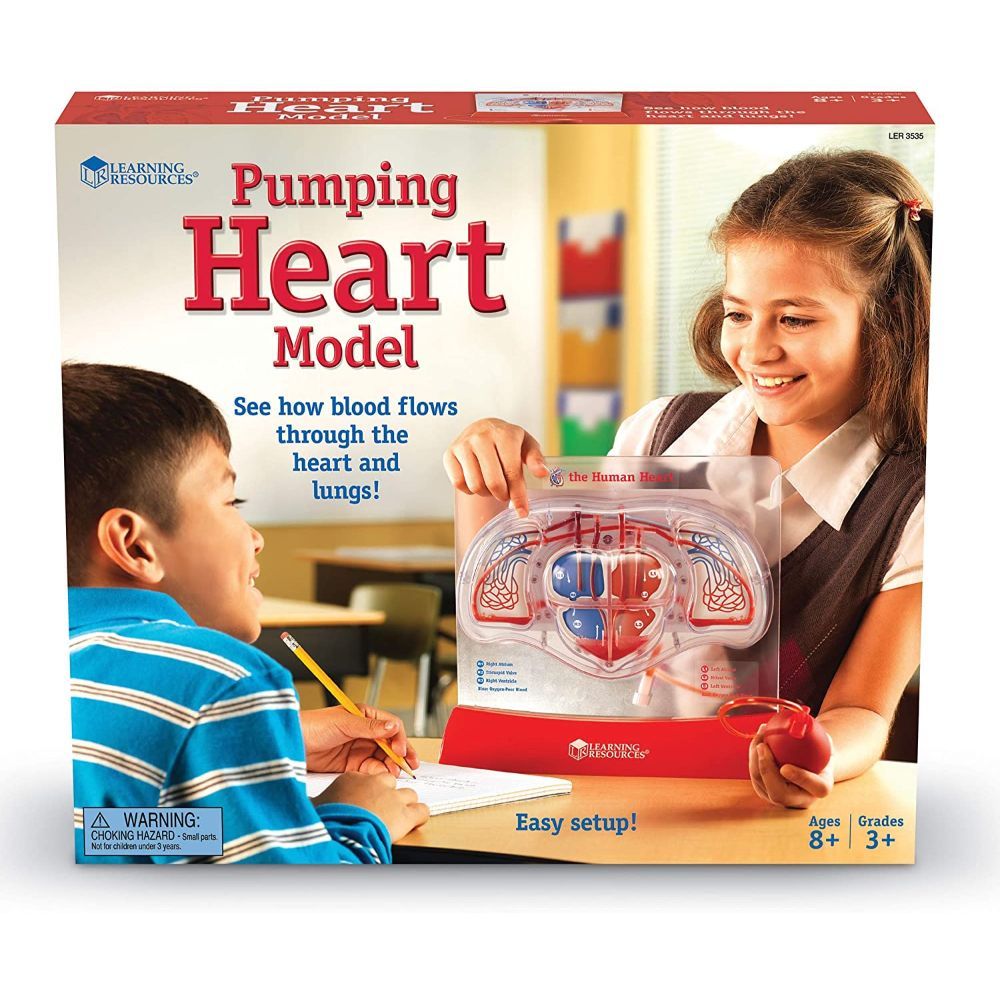 Learning Resources Pumping Heart Model, Teaching aid, Classroom Multi-Sensory Demonstration Set