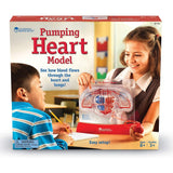 Learning Resources Pumping Heart Model, Teaching aid, Classroom Multi-Sensory Demonstration Set