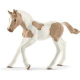Schleich - Paint Horse Foal