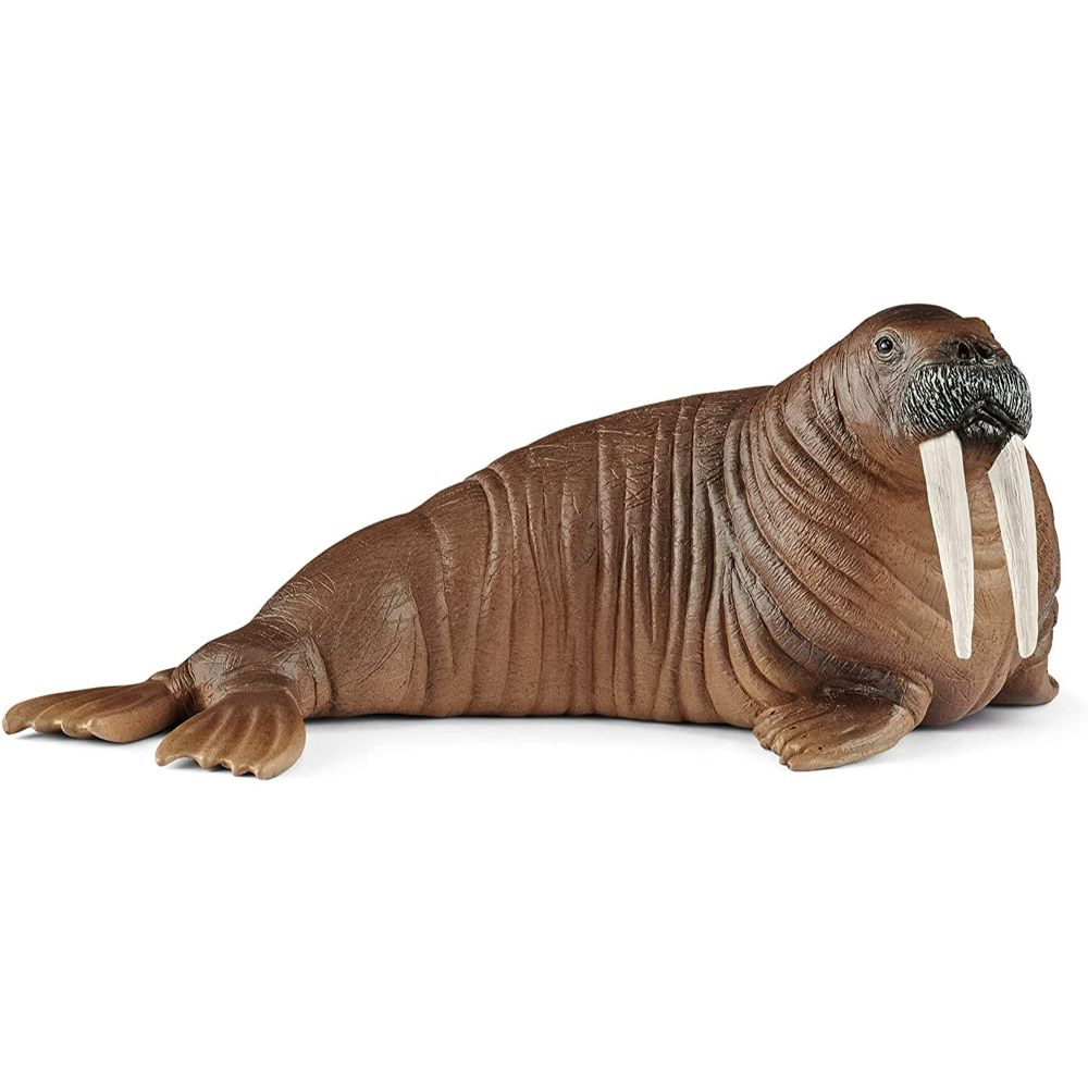 Schleich Walrus