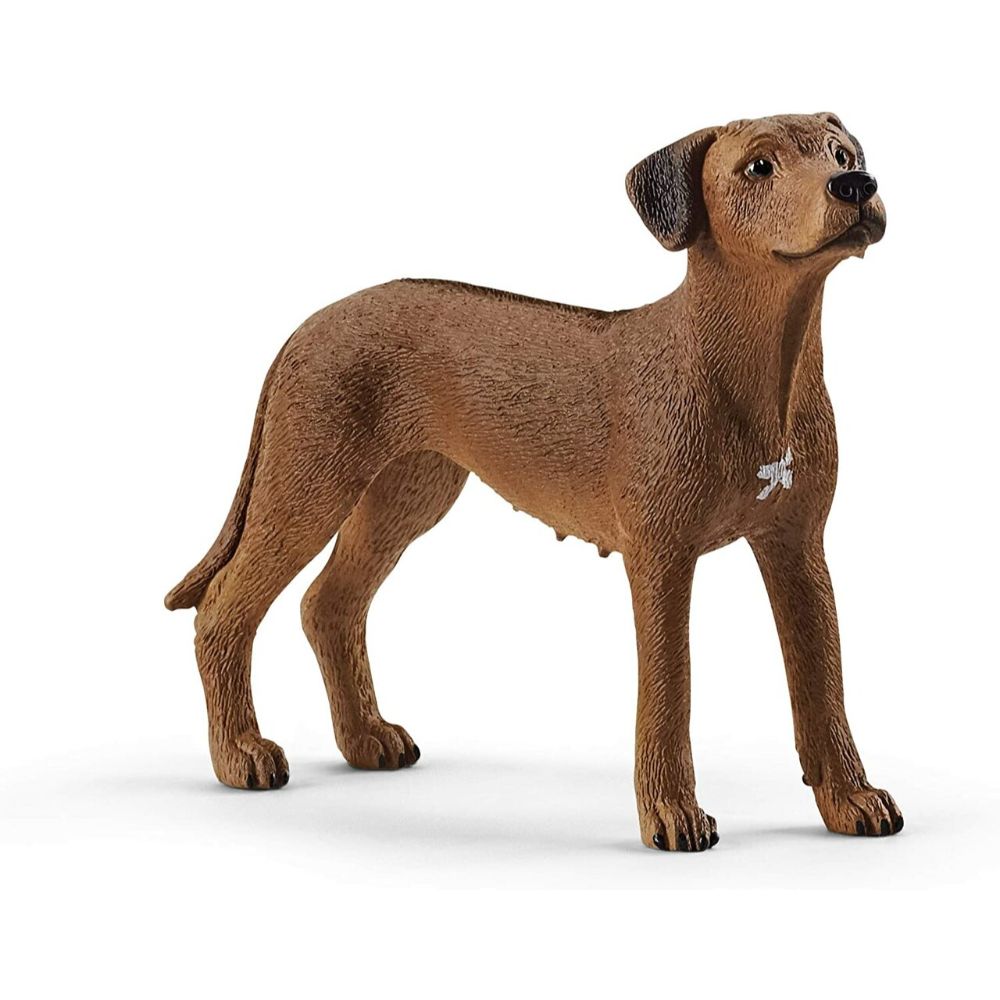 Schleich Rhodesian Ridgeback