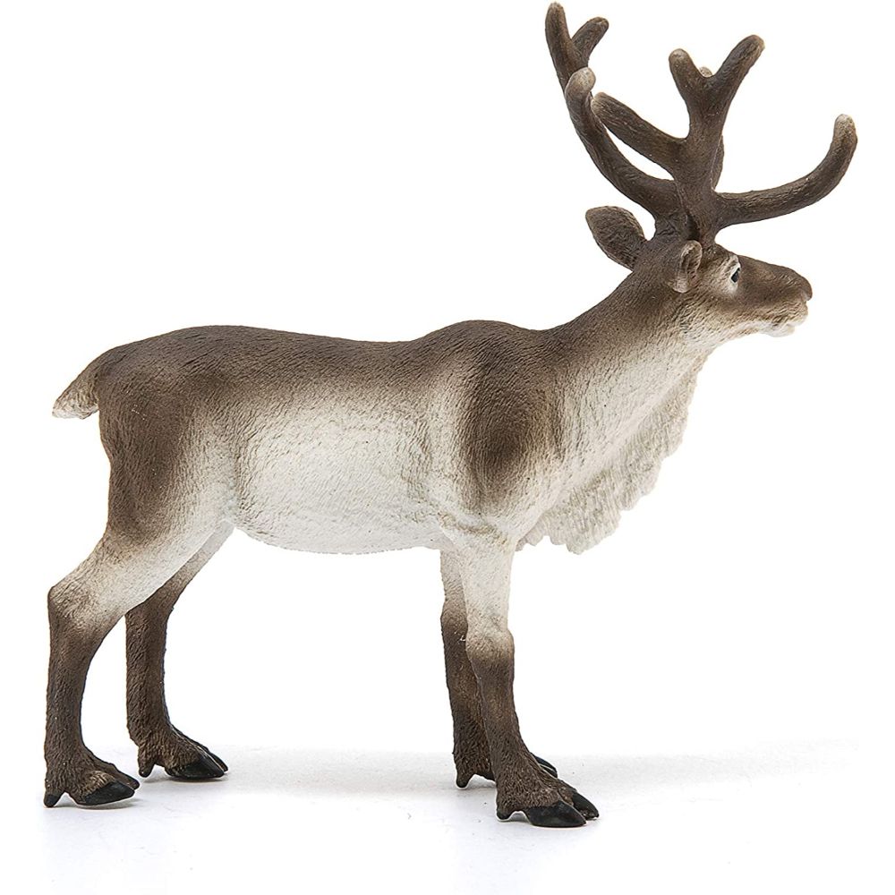 Schleich - Reindeer