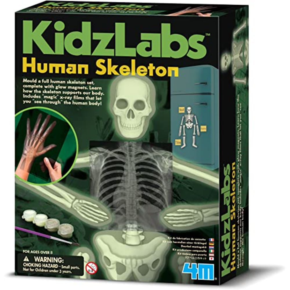 4M Glow Human Skeleton Science Kit