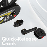 Royal Baby -  EZ Freestyle 12" Black