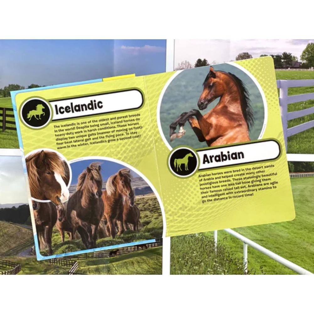 Phidal - World Of Horses My Busy Books