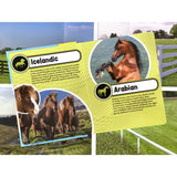 Phidal - World Of Horses My Busy Books