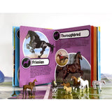 Phidal - World Of Horses My Busy Books