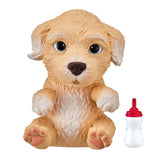 Little Live Pets Omg Pets Retriever Puppy  Image#2