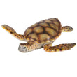 National Geographic Sea Turtle