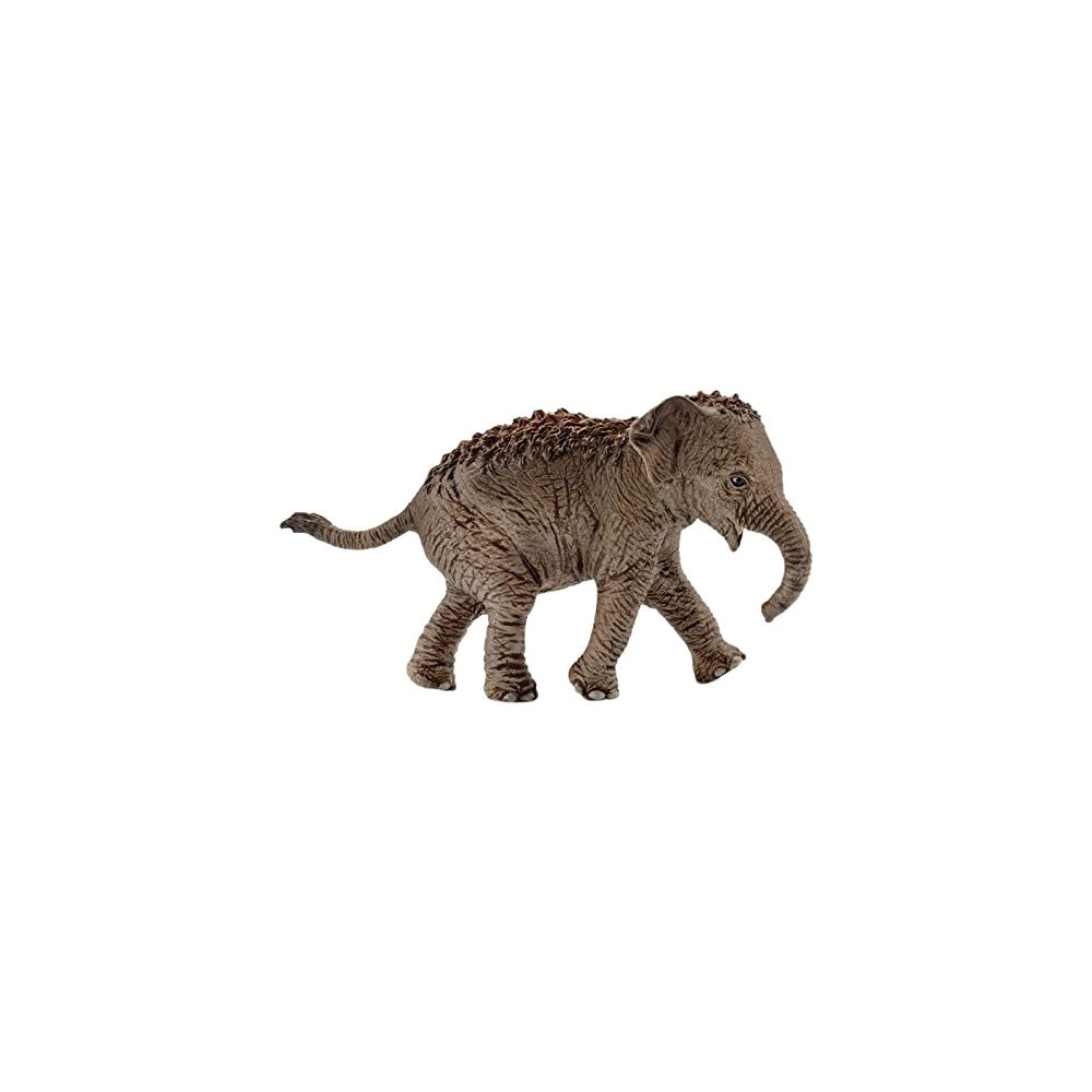 Schleich Asian Elephant Calf  Image#1