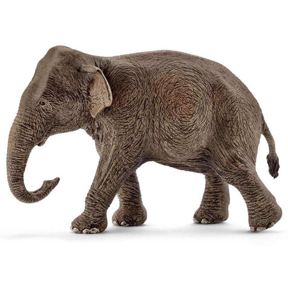 Schleich Asian Elephant Female  Image#1