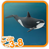 Schleich Killer Whale  Image#2
