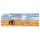 Clementoni Panorama Puzzle The Lost 1000Pcs