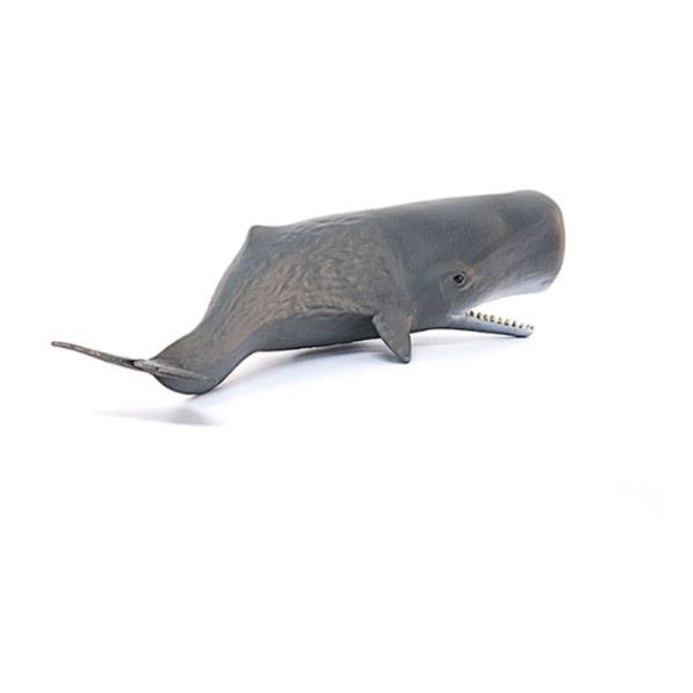 Schleich - Sperm Whale