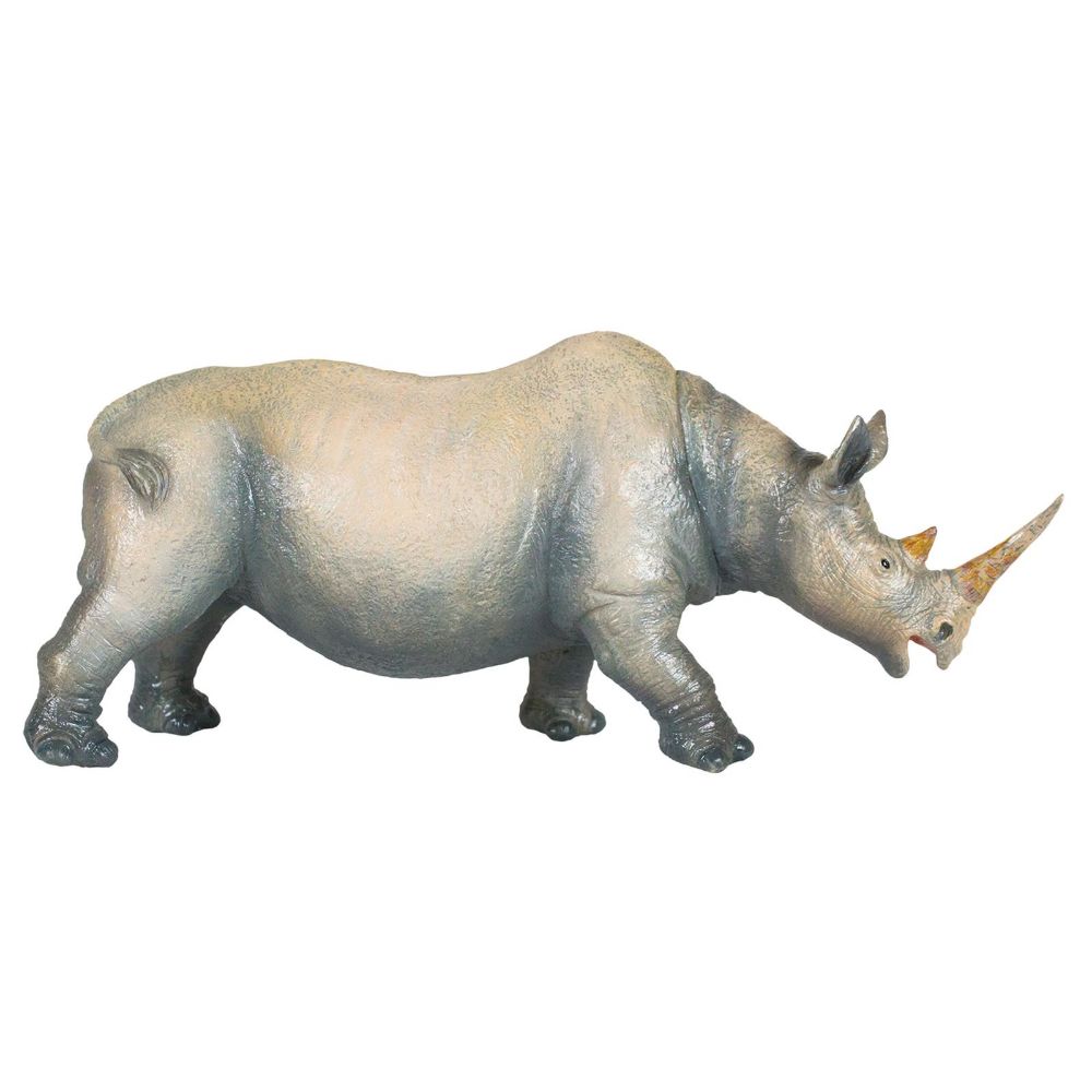 National Geographic Rhinoceras