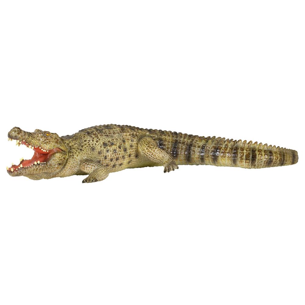 National Geographic Crocodile