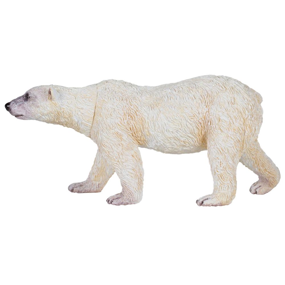 National Geographic Polar Bear