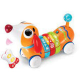 Winfun R/C Rainbow Pup