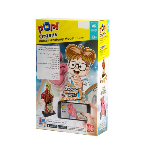 Edu Toys Human Anatomy Model Toy for Kids