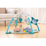 Infantino Big Activity Gym Ball Pit