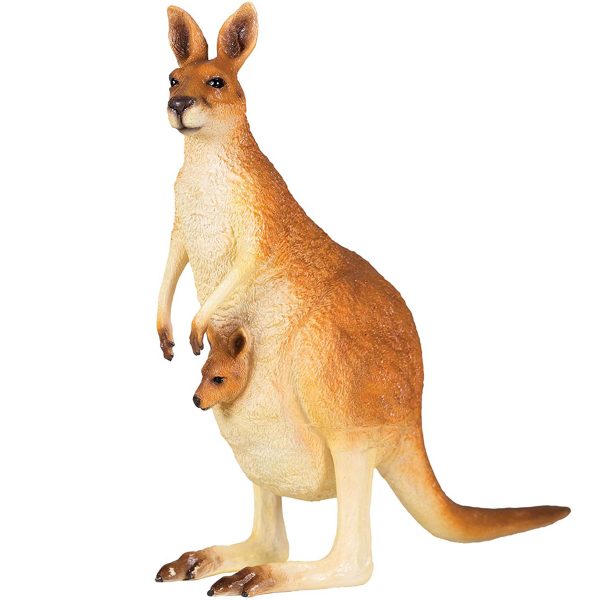 National Geographic Wildlife Kangaroo