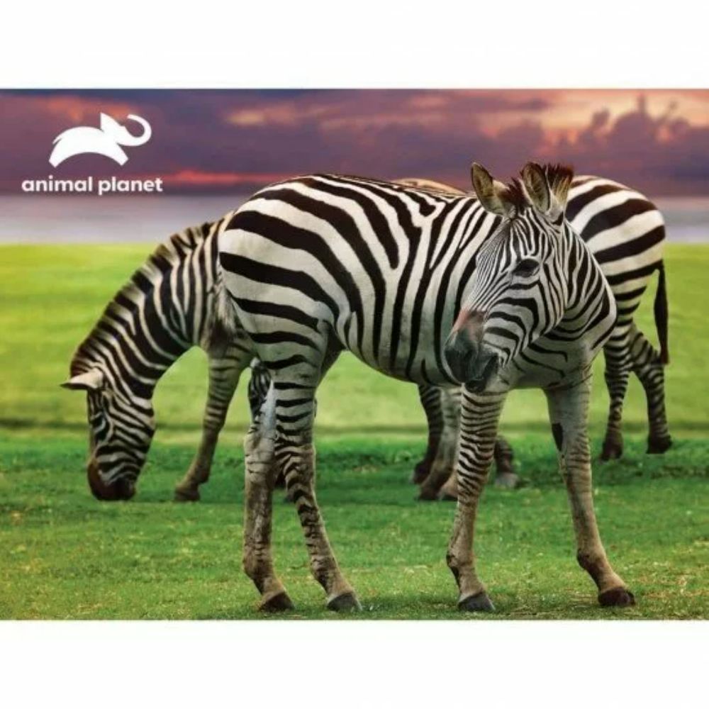 Prime 3D Zebra Puzzle 48 Pcs