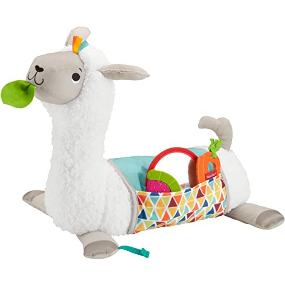 Fisher Price Lay to Play Time  Image#2