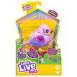Little Live Pets Lil Bird S11 Flutter Tal